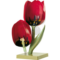 Květ tulipánu SOMSO®