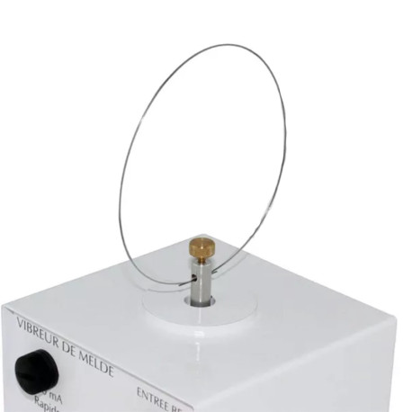 Kruhová rezonanční struna